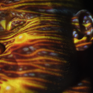 欧美性爱视频jizz
